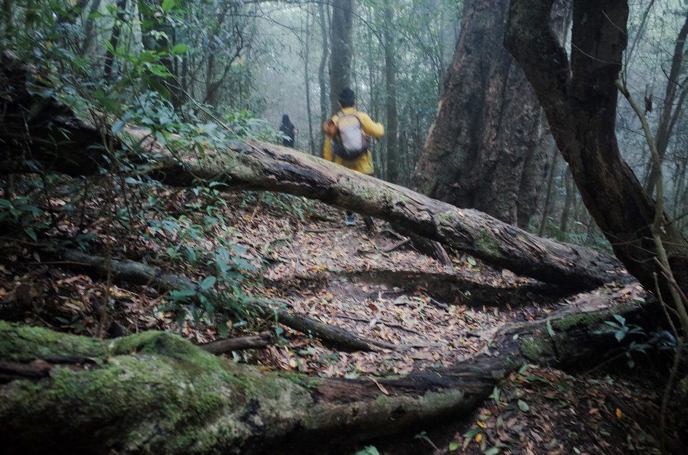 鵝公髻山與鵝公髻東北峰