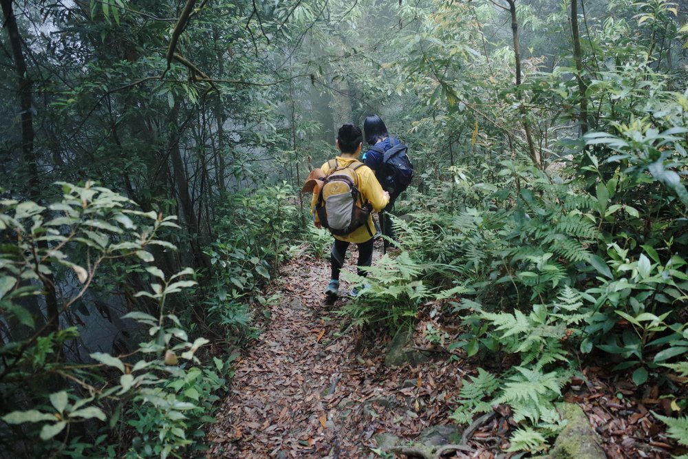 鵝公髻山與鵝公髻東北峰