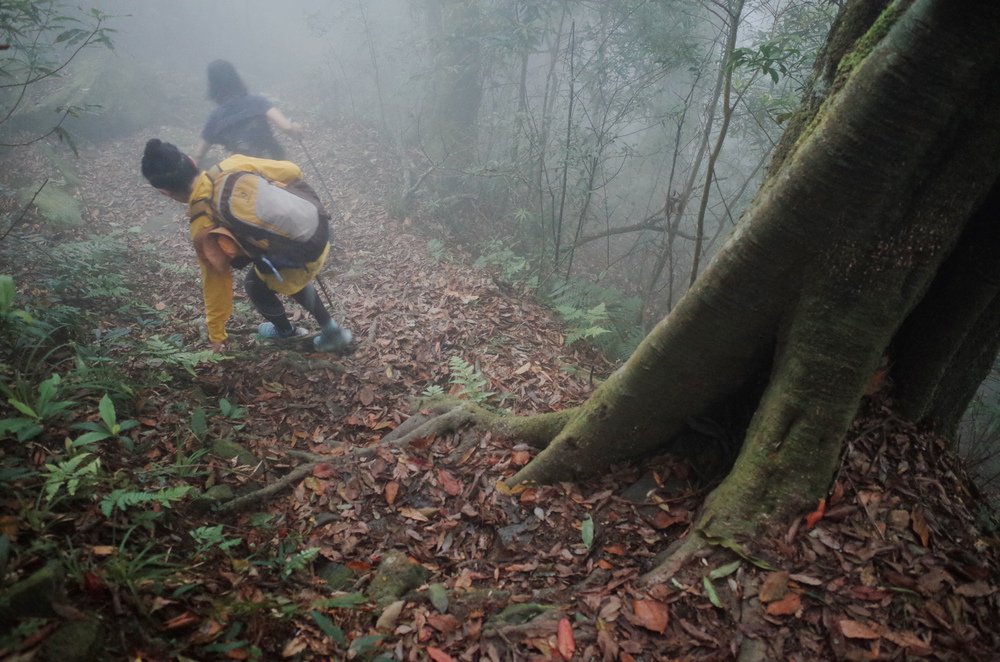 鵝公髻山與鵝公髻東北峰