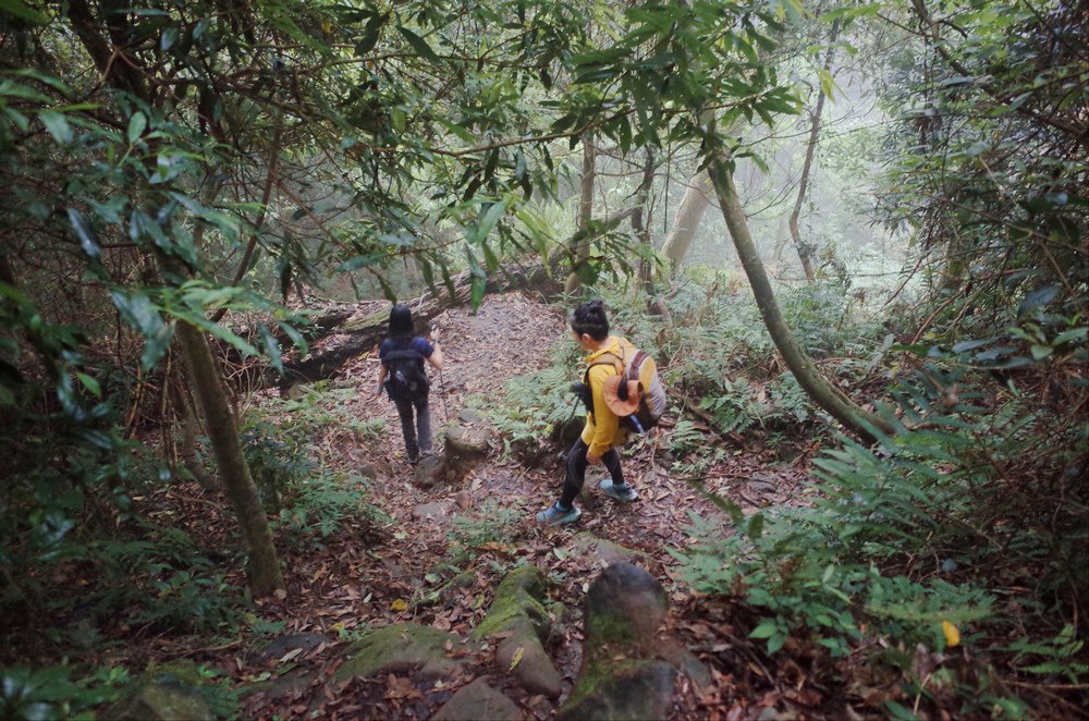 鵝公髻山與鵝公髻東北峰