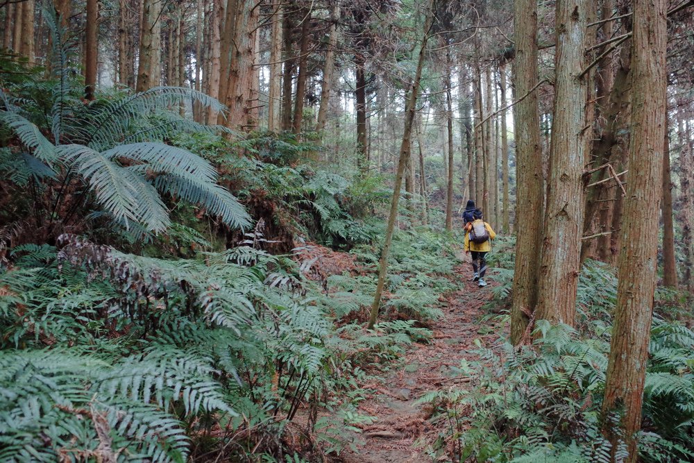 鵝公髻山與鵝公髻東北峰