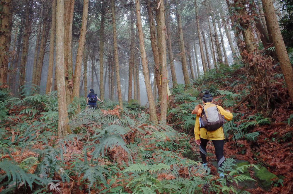 鵝公髻山與鵝公髻東北峰