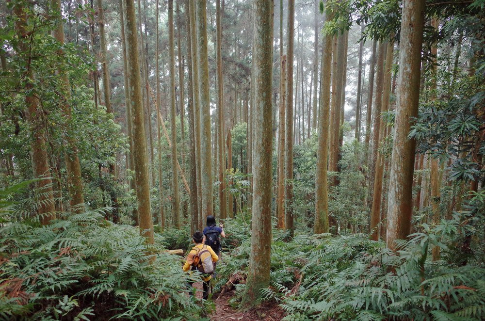 鵝公髻山與鵝公髻東北峰