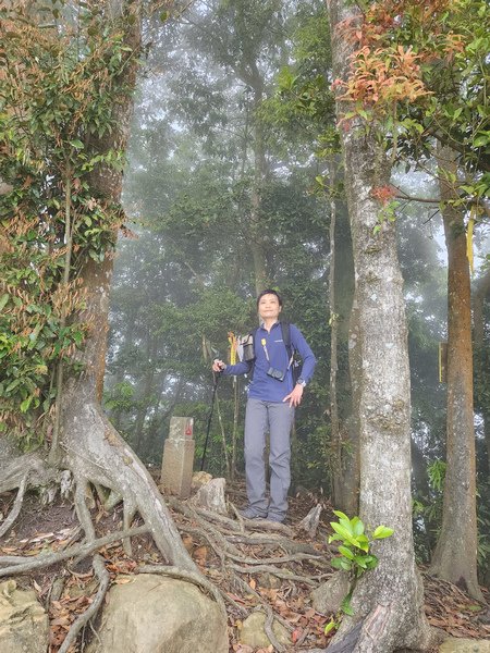 鵝公髻山與鵝公髻東北峰