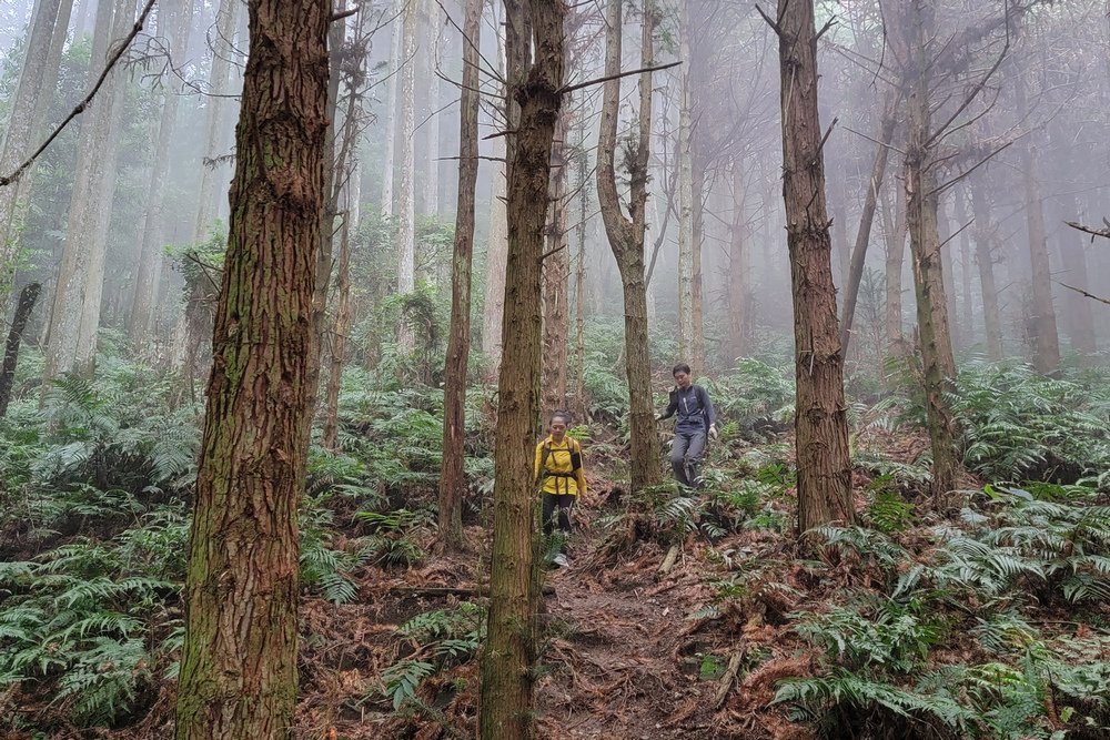 鵝公髻山與鵝公髻東北峰