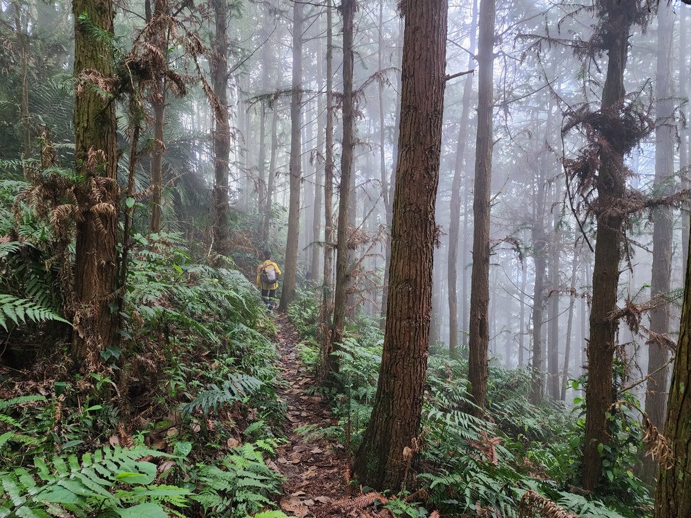 鵝公髻山與鵝公髻東北峰