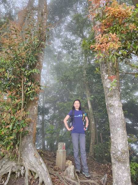 鵝公髻山與鵝公髻東北峰