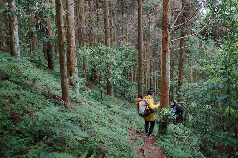 鵝公髻山與鵝公髻東北峰