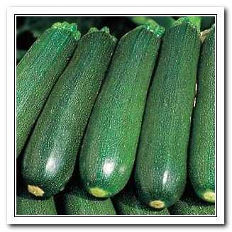 Courgette.jpg