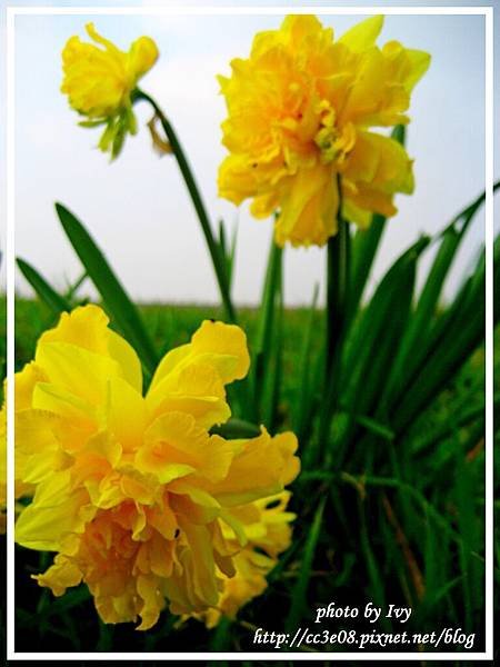 Spring 023.jpg