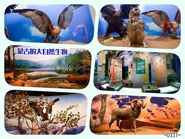 105.08玉瑛遊記內蒙篇_5092.jpg