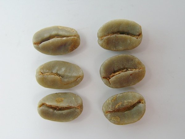 多心豆 (4).jpg