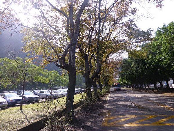 2014年12月 092.jpg