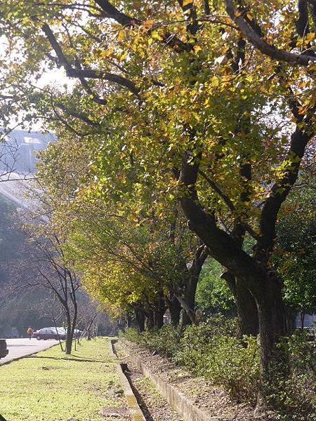2014年12月 093.jpg