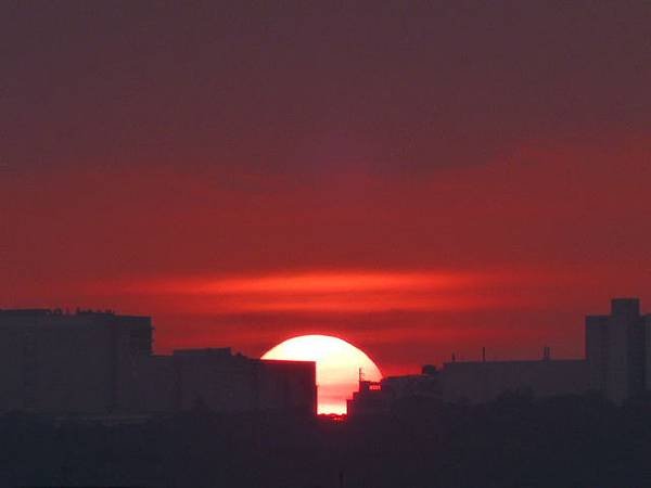 2014年12月 010.jpg