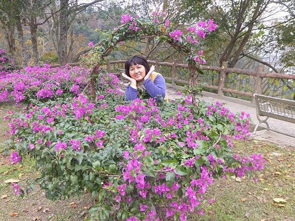 2014年12月 127.jpg
