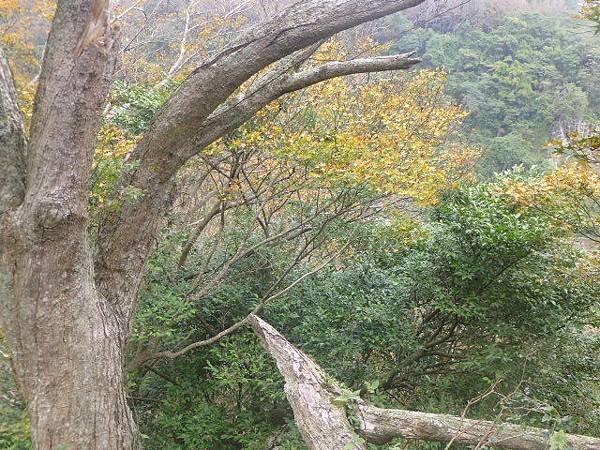 2014年12月 128.jpg