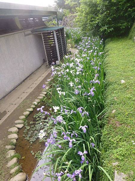 2015年4月5月 054.jpg