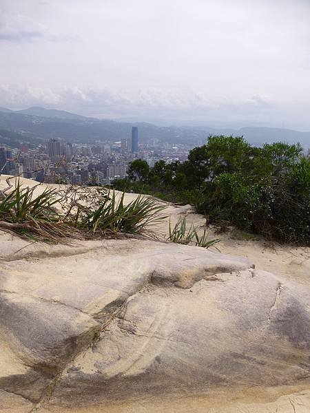 P1220703.JPG