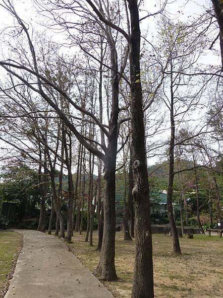 P1220738.JPG