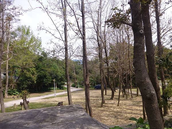 P1220740.JPG