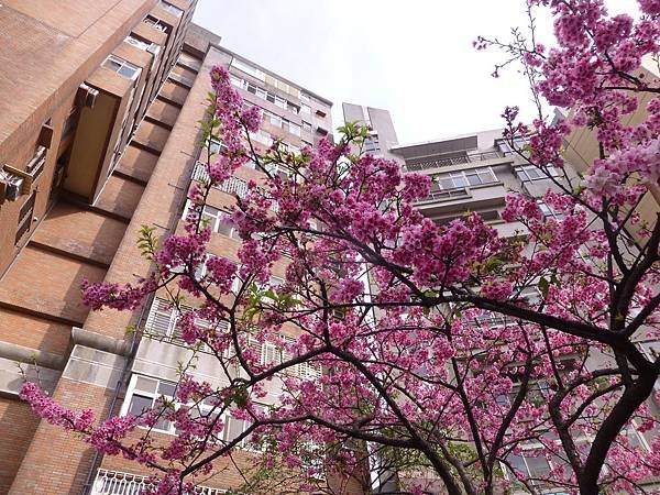 P1220766.JPG