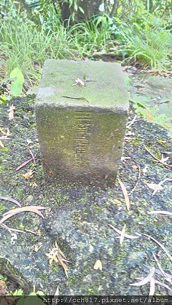 P_20170605_110122_HDR.jpg