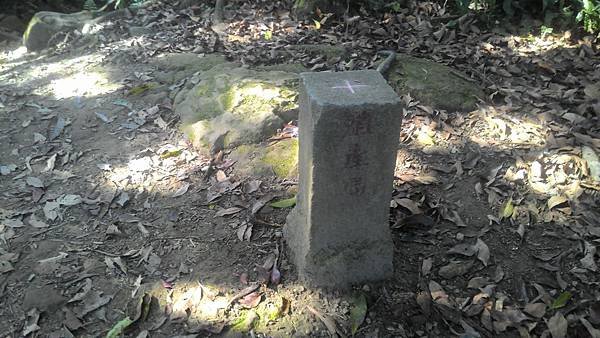 P_20180329_085711.jpg