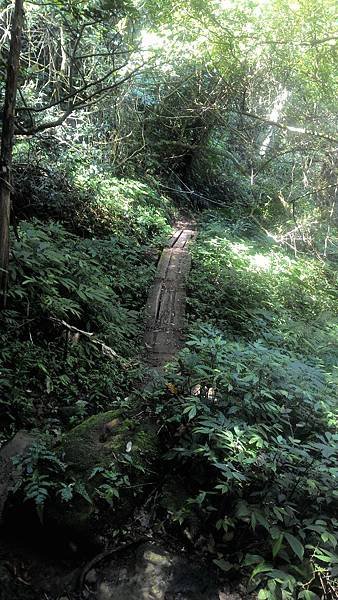 P_20180329_103837.jpg