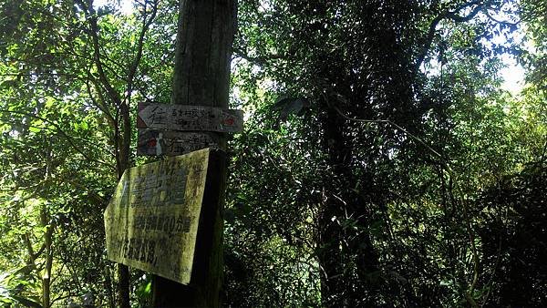 P_20180331_112254.jpg
