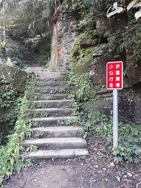 50703129_10216132743944414_8736899563891195904_n.jpg