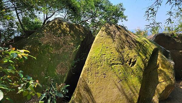 第486回[臺北信義]四獸山步道，虎豹獅象山連走