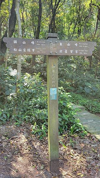 第486回[臺北信義]四獸山步道，虎豹獅象山連走