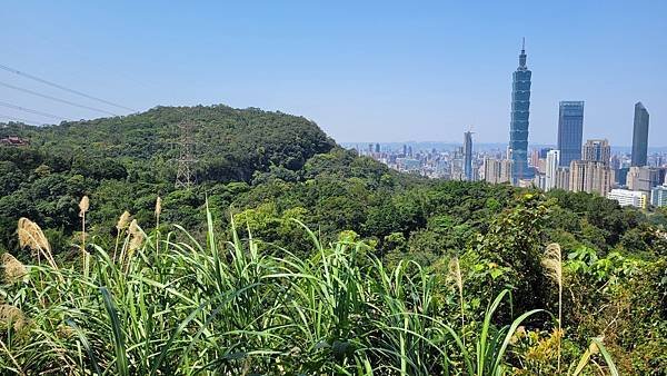 第486回[臺北信義]四獸山步道，虎豹獅象山連走