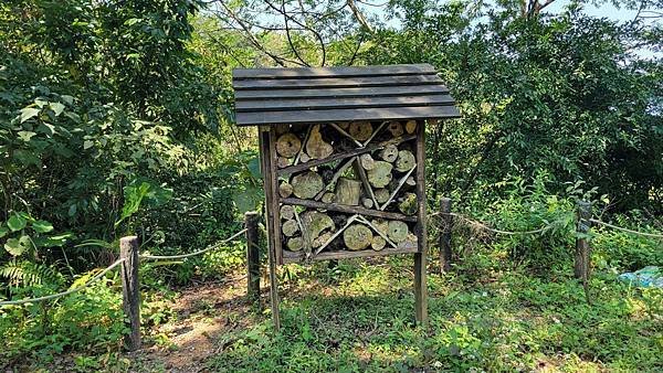 第486回[臺北信義]四獸山步道，虎豹獅象山連走