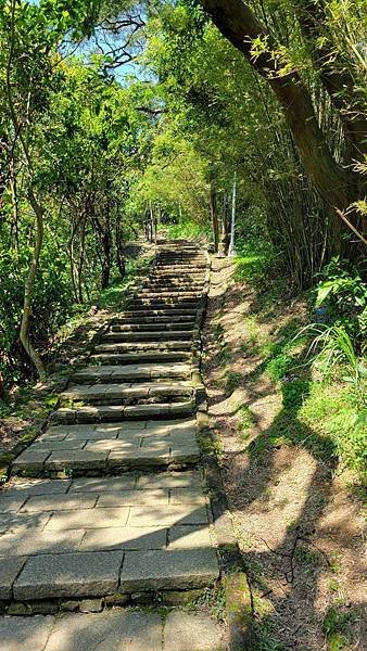第486回[臺北信義]四獸山步道，虎豹獅象山連走