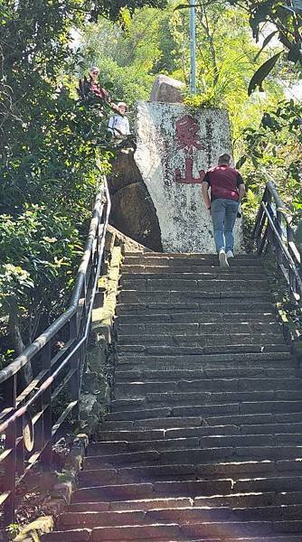 第486回[臺北信義]四獸山步道，虎豹獅象山連走