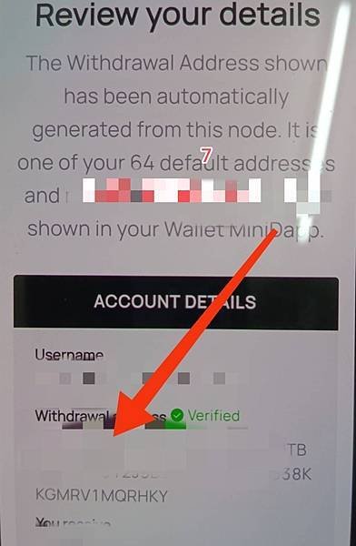 Minima主網之路補充資料