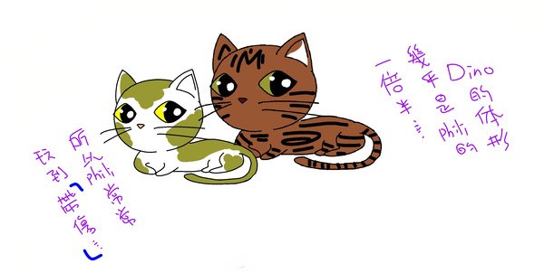 貓4.jpg