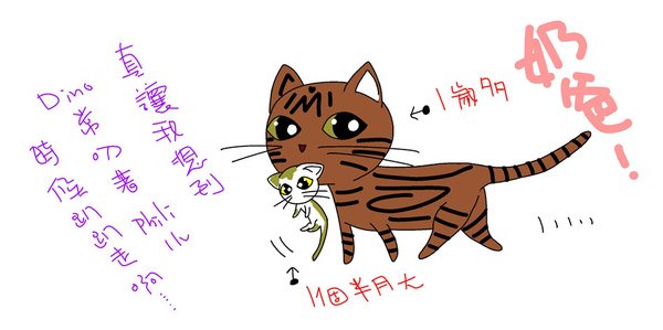 貓5.jpg