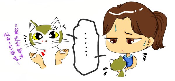 貓2.jpg