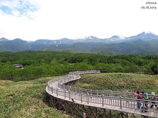 知床五湖.高架木道