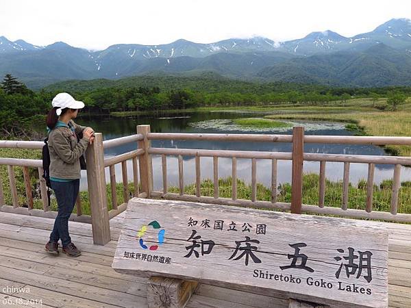 知床五湖.高架木道