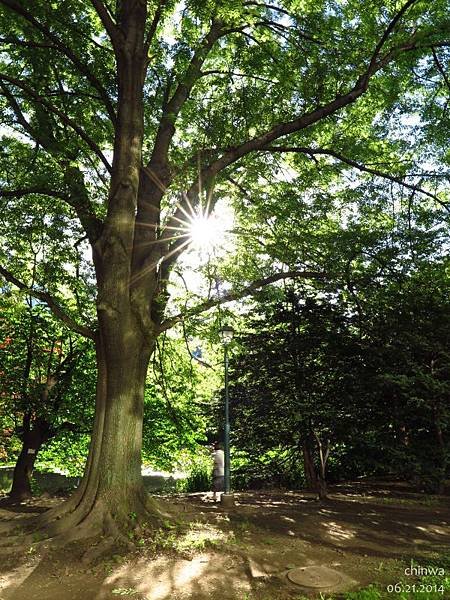 札幌.大通公園