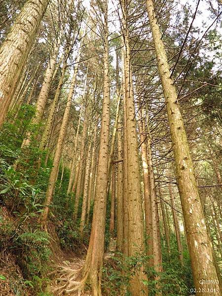鳶嘴稍來山步道