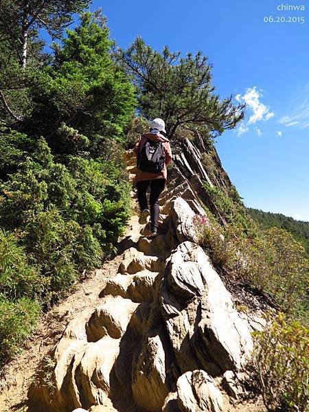 合歡山北峰步道