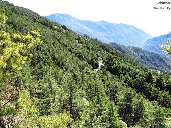 合歡山北峰步道