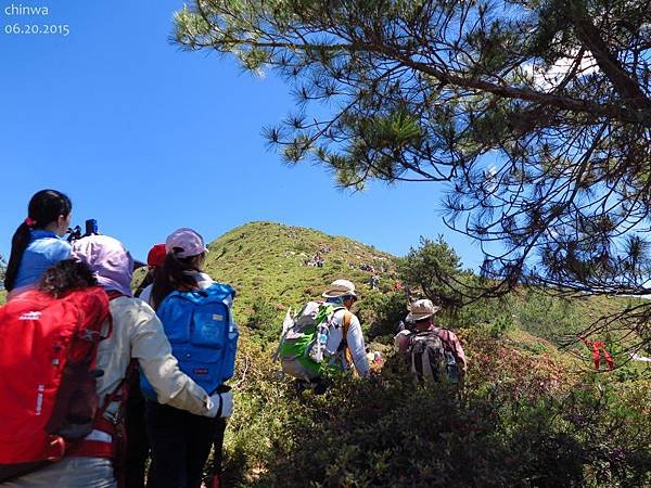 合歡山北峰步道