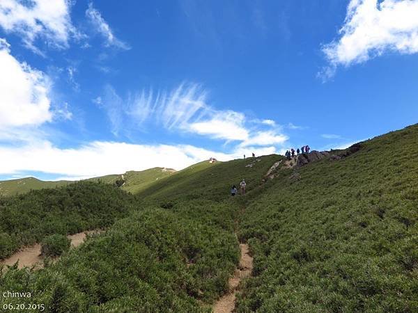 合歡山北峰步道