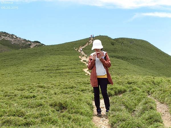 合歡山北峰步道